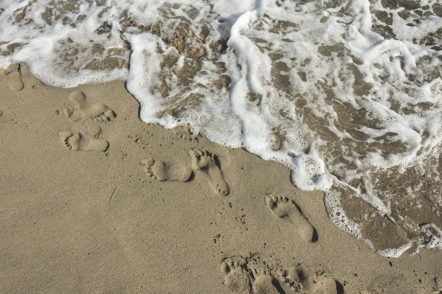 Family footsteps on the beach
