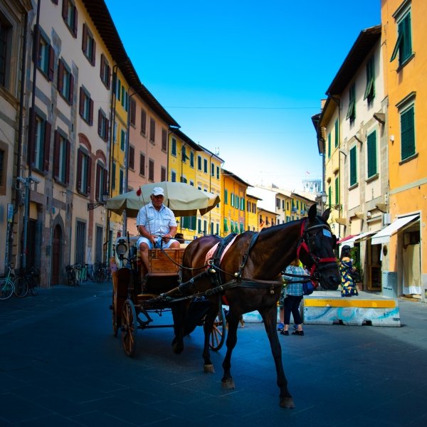 Horse and cart in Pisa, Tuscany