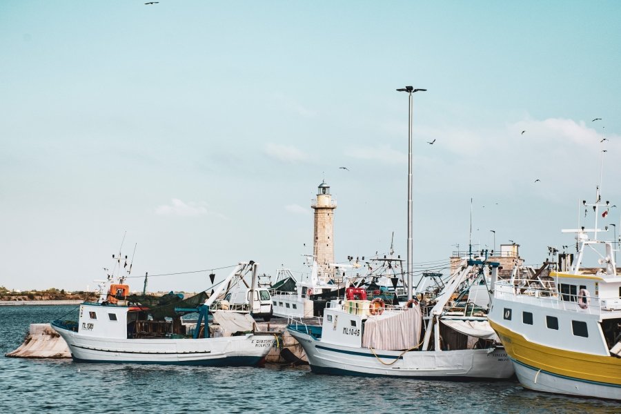 Boats in harbour, Italy
