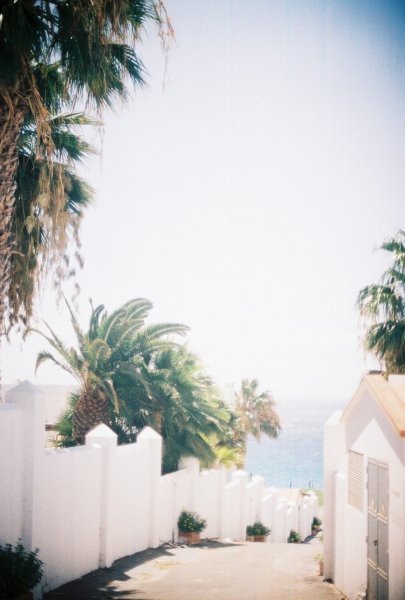 Fuerteventura palm trees and white wash buildings