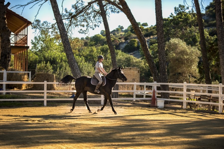 Horse Riding at Aphrodite Hills