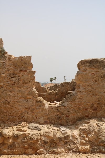 Paphos Archaeological Park