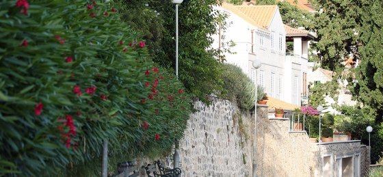 villa_in_dubrovnik_20.jpg Holiday home in Dubrovnik Region villa booking