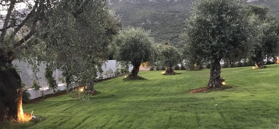 Holiday home in Halikounas villa booking