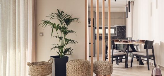 009.jpg Villa in Tsilivi to rent