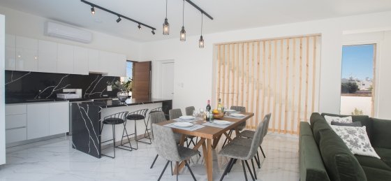 13.jpg Villa in Protaras to rent