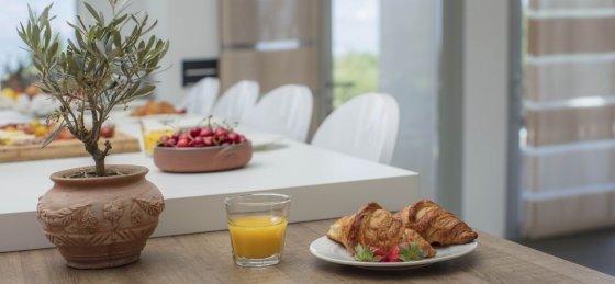 Villa in Croatia to rent