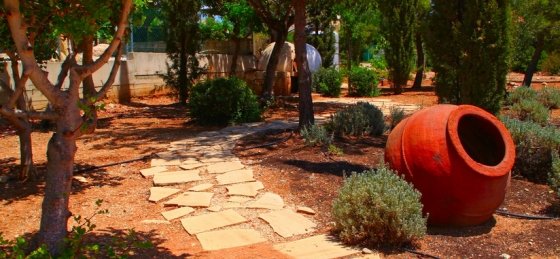 18_0238_1592.jpg Villa holidays in Aphrodite Hills Resort