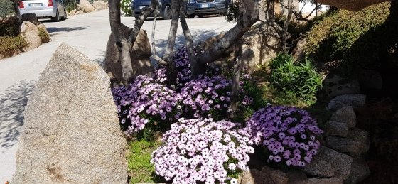 7-parcheggio.jpg Book a villa in Sardinia