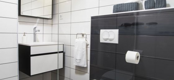 _013.jpg Villa holidays in Labin