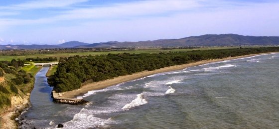 inu.jpg Villa holidays in Tuscany