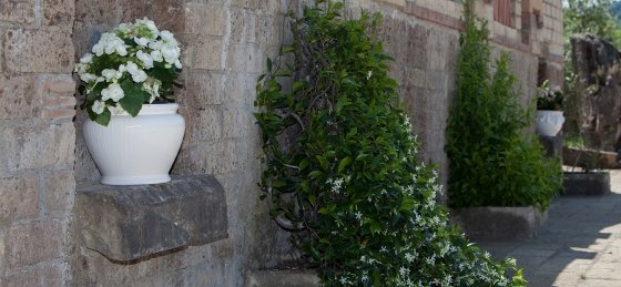 img_4635.jpg Holiday villas in Tuscany