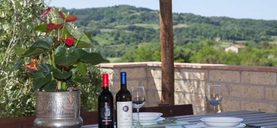 img_4650.jpg Villa holidays in Pisa