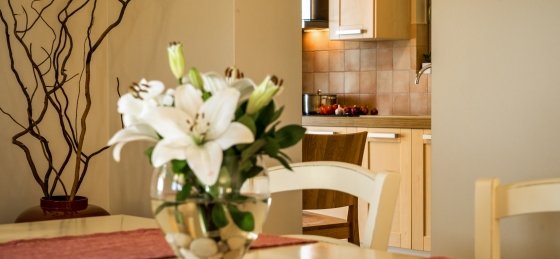 Villa in Svoronata to rent