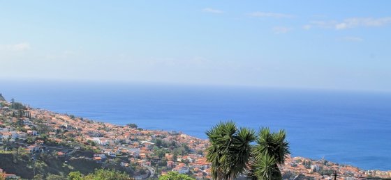 16_-_mhrd_-_quinta_dalegria_-_view_from_house.jpg Villa in Funchal to rent