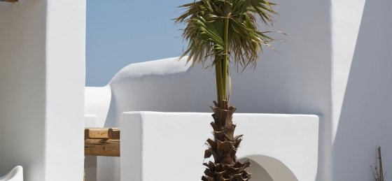 12b.jpg Villa in Mykonos to rent