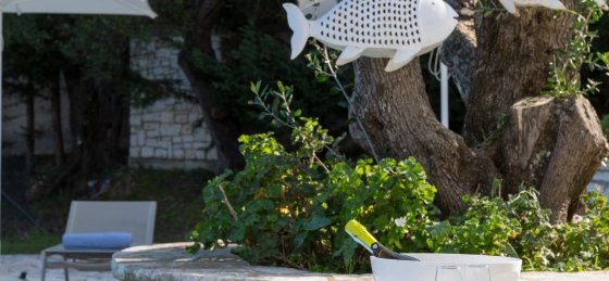 2b4a3472.jpg Villas in Corfu