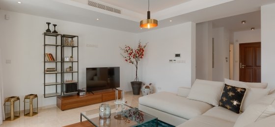 _mg_4611.jpg Villa in Paphos to rent