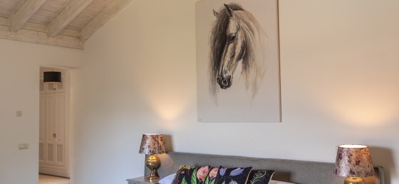 Book a villa in Marbella