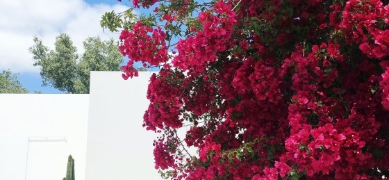 f1a05d05-0ea2-4254-b7f1-9bf5985a072c.jpg Holiday villas in Algarve