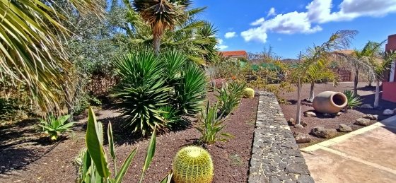 m7.jpg Book a villa in Caleta de Fuste