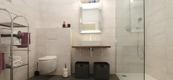 p8024714.jpg Holiday home in Istria villa booking