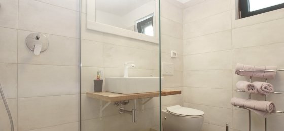 p8024744.jpg Villas in Istria