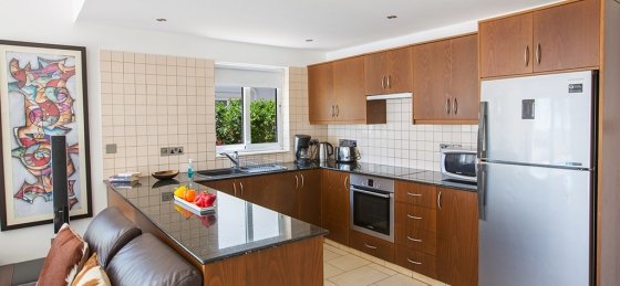 12_56.jpg Holiday villas in Nissi Beach