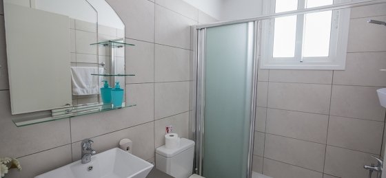 cart0018.jpg Holiday villas in Nissi Beach