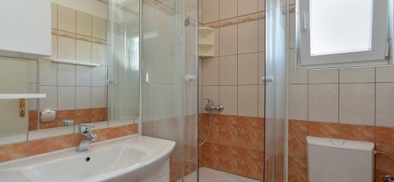 dsc_9939.jpg Holiday villas in Istria