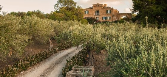 04_41.jpg Holiday home in Sicily villa booking