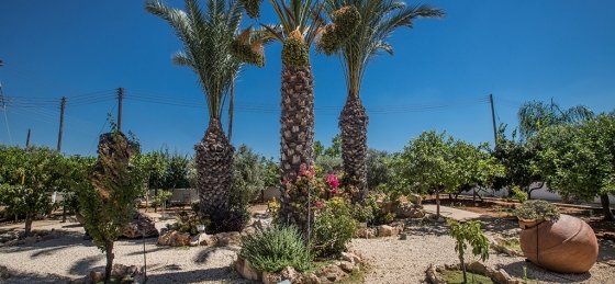 27_44.jpg Holiday home in Cyprus villa booking