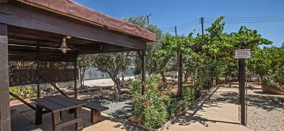 cart0073.jpg Book a villa holiday in Protaras