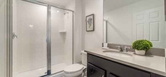 image_157113831.jpeg Holiday villas in Orlando