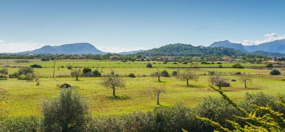 Villa in Balearic Islands to rent