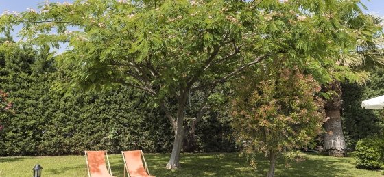 rhodes_holidays_royal_classico_villa_rhodes_34.jpg Villas in Kolymbia