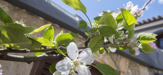 exterior5_1.jpg Villa holidays in Algarve