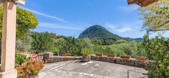 Holiday villas in Pollensa
