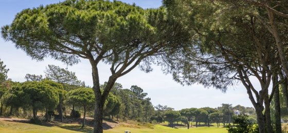 256a9670.jpg Book a villa in Algarve