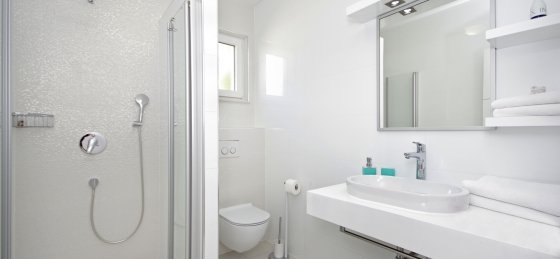 54.jpg Book a villa holiday in Dalmatia