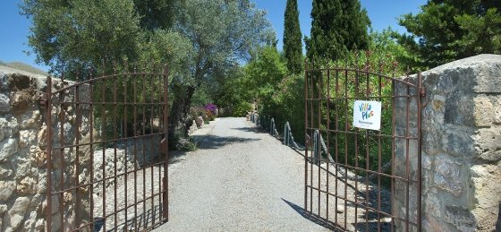 Villa in Mallorca to rent