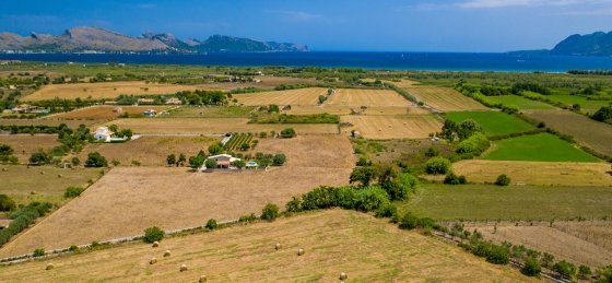 bosque_-_xtra_01_2400x1600.jpg Villa in Pollensa to rent