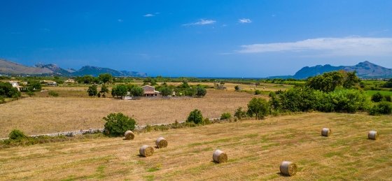 bosque_-_xtra_02_2400x1600.jpg Villa holidays in Pollensa