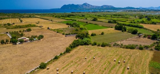 bosque_-_xtra_03_2400x1600.jpg Holiday villas in Balearic Islands