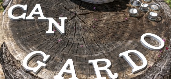 gardo_-_xtra_01.jpg Villas in Mallorca