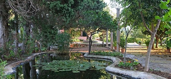 hort_3_cames_-_xtra_1_2400x1600.jpg Book a villa holiday in Balearic Islands