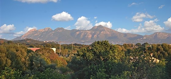 hort_3_cames_-_z_views_1_2400x1600.jpg Book a villa in Balearic Islands