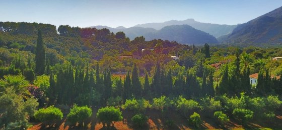 llop_-_xterior_7.jpg Villa rentals in Spain