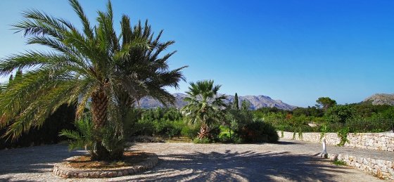 llop_-_xterior_8.jpg Villa in Balearic Islands to rent