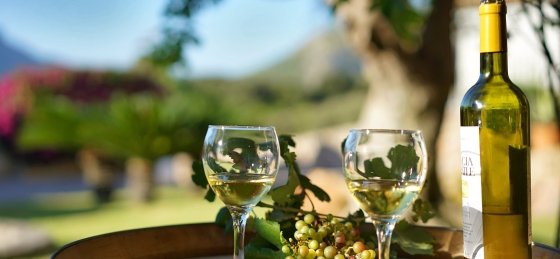 llop_-_xtra_3.jpg Villa rentals in Balearic Islands